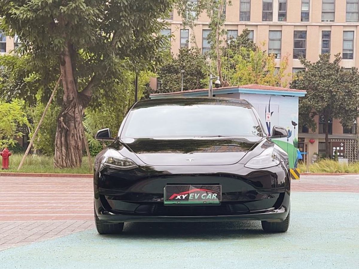 特斯拉 Model 3  2021款 改款 標(biāo)準(zhǔn)續(xù)航后驅(qū)升級(jí)版圖片