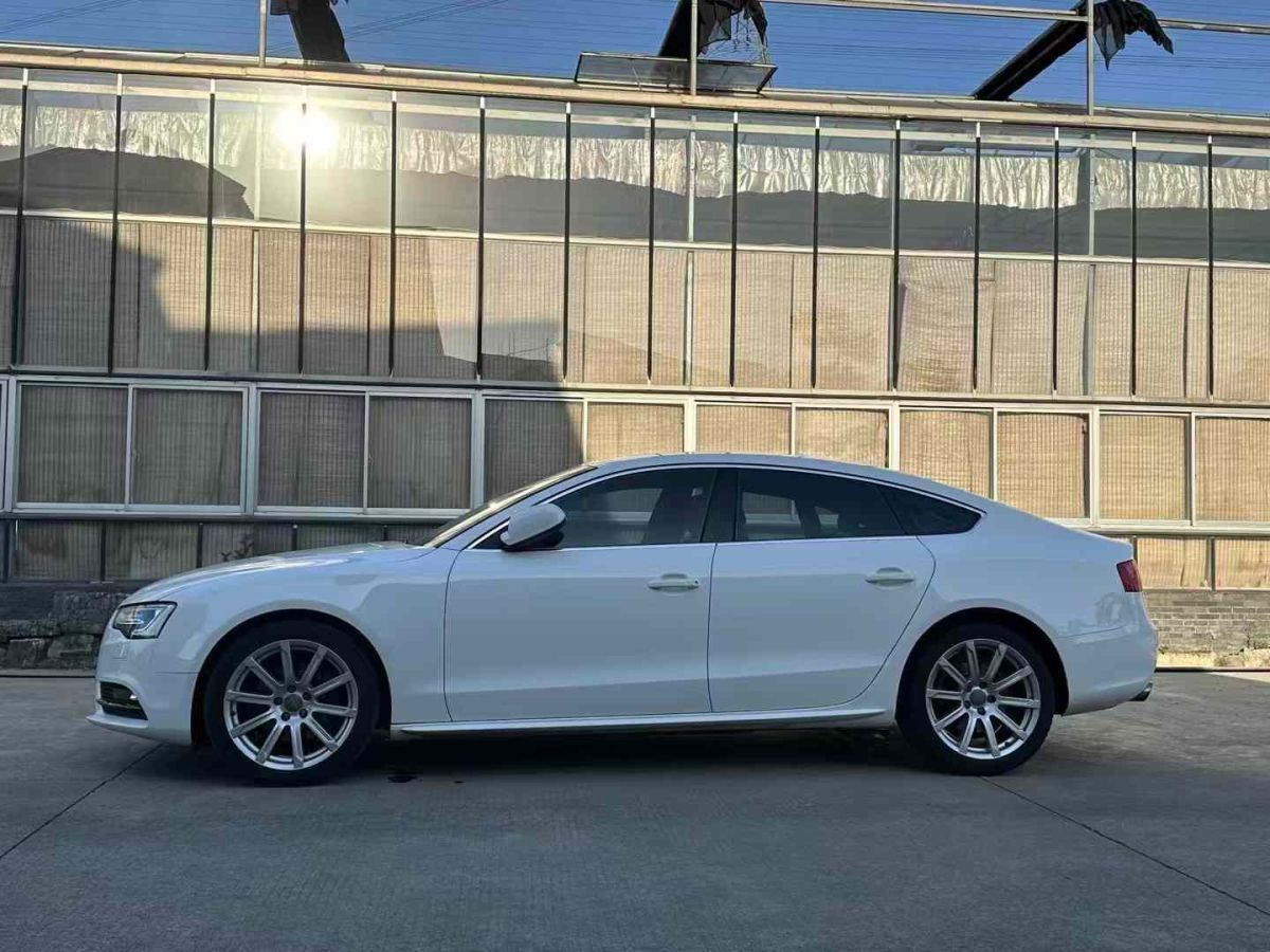 奧迪 奧迪A1  2014款 30 TFSI 技術(shù)型圖片