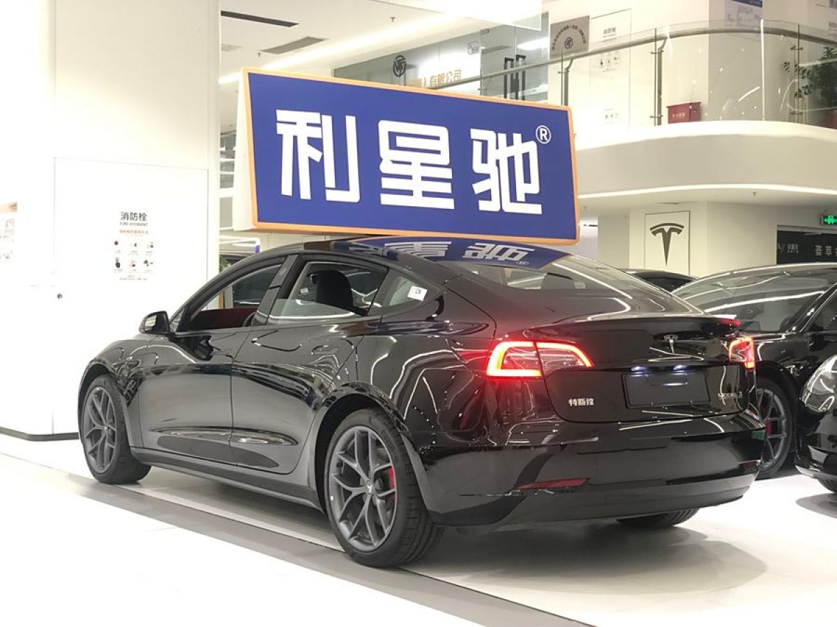 2023年1月特斯拉 Model 3  2022款 Performance高性能全輪驅(qū)動版