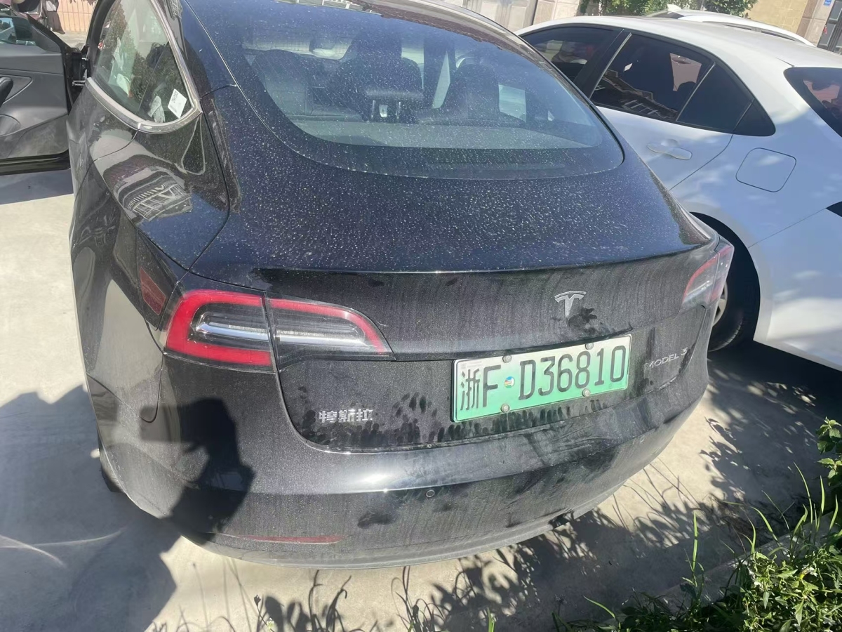 特斯拉 Model 3  2020款 改款 標準續(xù)航后驅升級版圖片