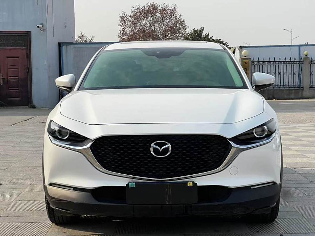 馬自達(dá) CX-30  2020款 2.0L 自動質(zhì)悅型圖片