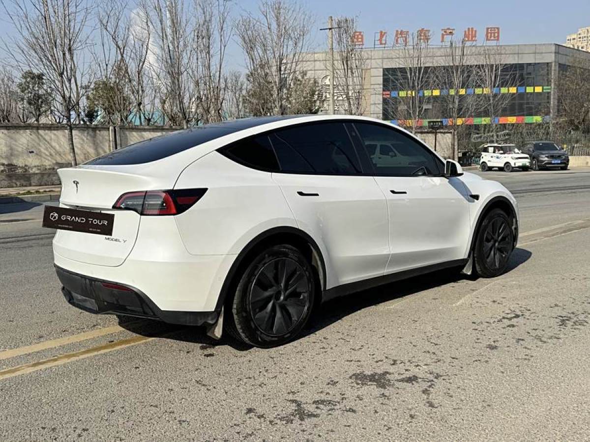 特斯拉 Model 3  2020款 改款 長續(xù)航后輪驅(qū)動(dòng)版圖片