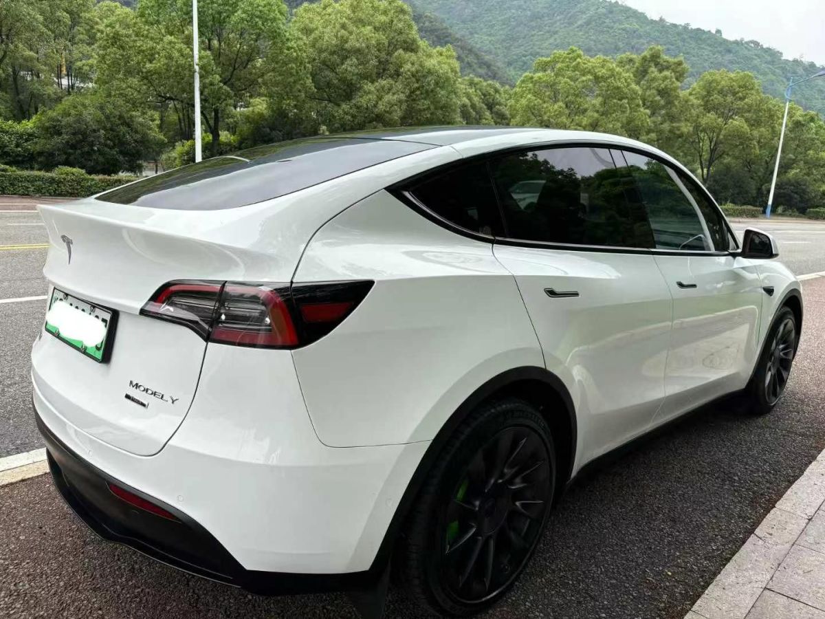 特斯拉 Model S  2023款 三電機(jī)全輪驅(qū)動(dòng) Plaid版圖片