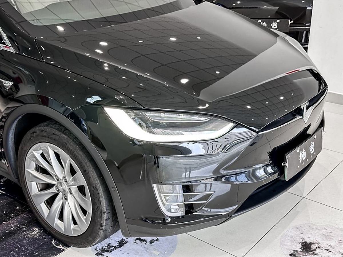 特斯拉 Model X  2019款 長續(xù)航版圖片