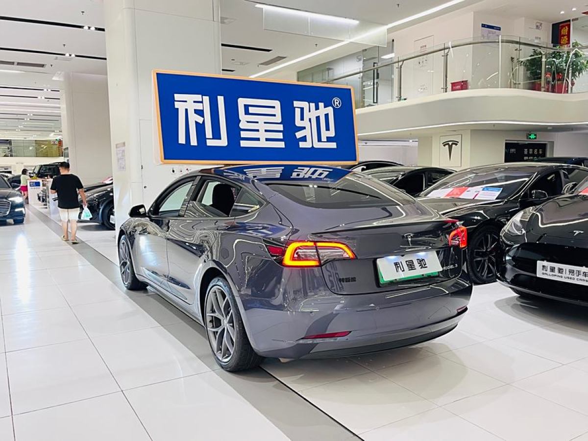 2022年6月特斯拉 Model 3  2022款 Performance高性能全輪驅(qū)動版