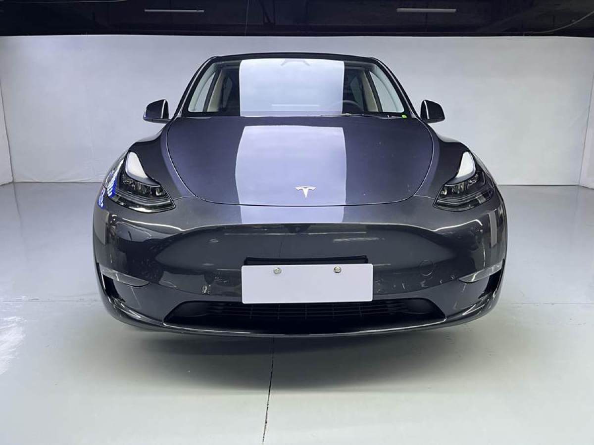 特斯拉 Model Y  2024款 長續(xù)航全輪驅(qū)動版圖片