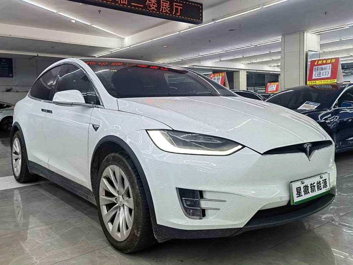 特斯拉 Model X  2020款 長續(xù)航升級版圖片