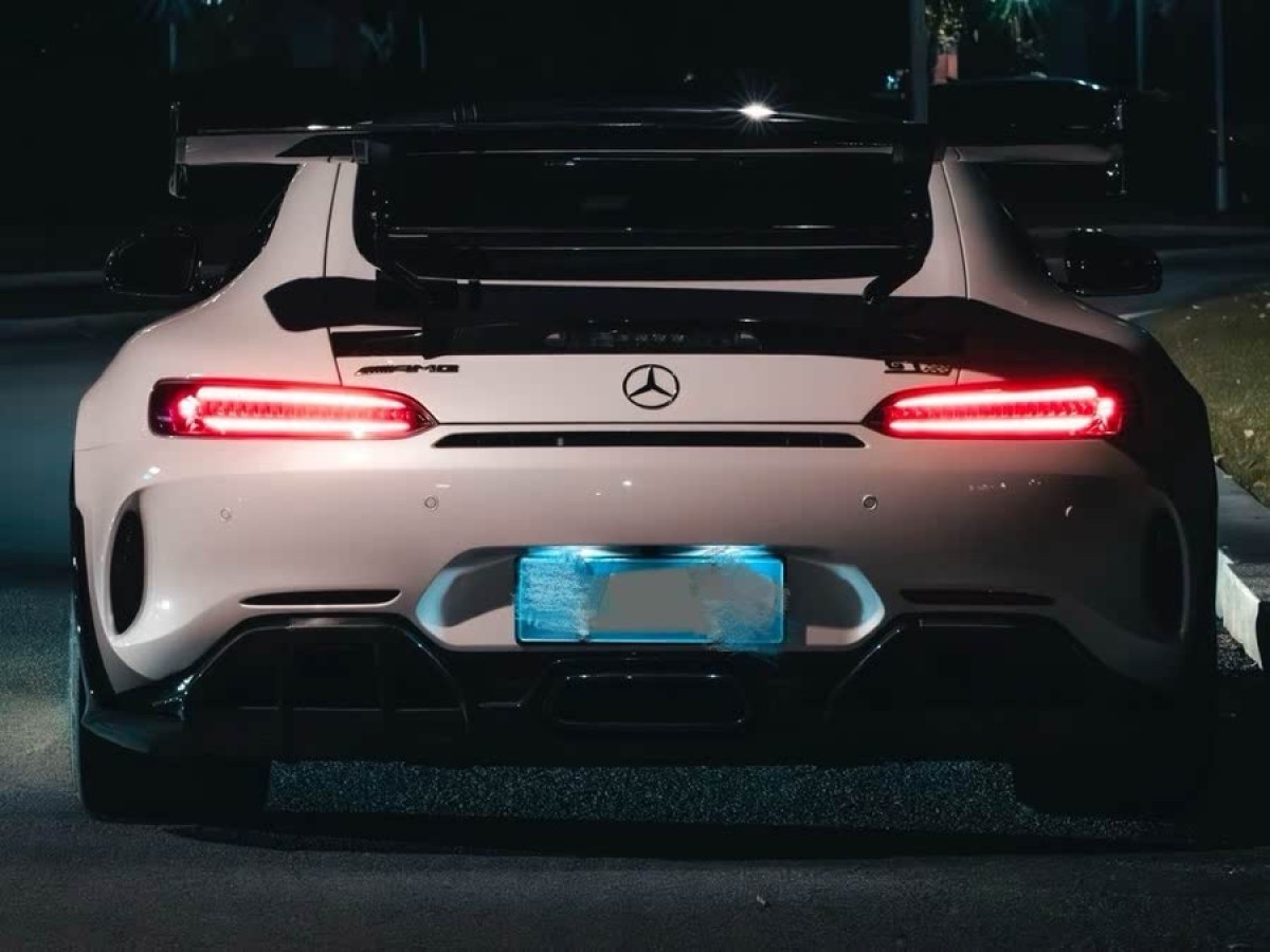 奔馳 奔馳AMG GT  2019款 AMG GT R PRO圖片