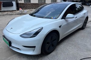 Model 3 特斯拉 后輪驅(qū)動(dòng)版