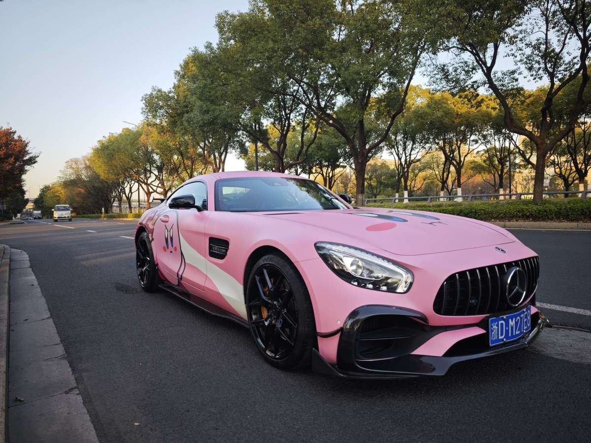 奔馳 奔馳AMG GT  2019款 AMG GT圖片