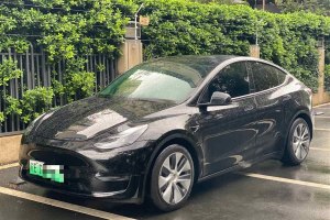 Model Y 特斯拉 標(biāo)準(zhǔn)續(xù)航后驅(qū)版