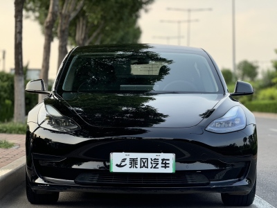 2021年4月 特斯拉 Model 3 标准续航后驱升级版图片