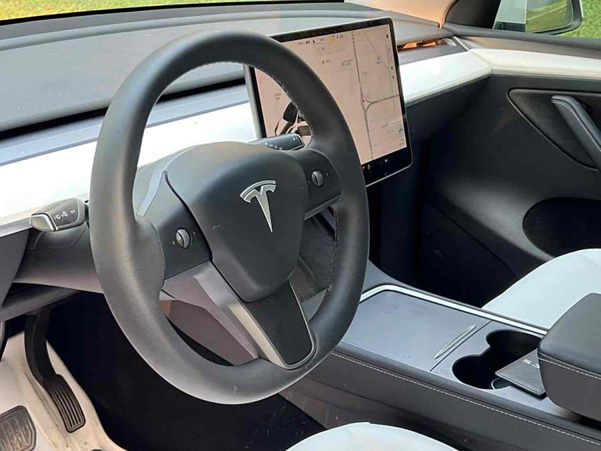 特斯拉 Model Y  2020款 改款 長續(xù)航后輪驅(qū)動版圖片