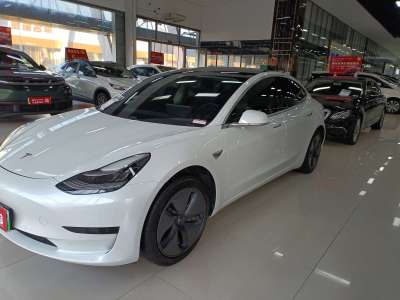 2020年4月 特斯拉 Model 3 標準續(xù)航后驅(qū)升級版圖片