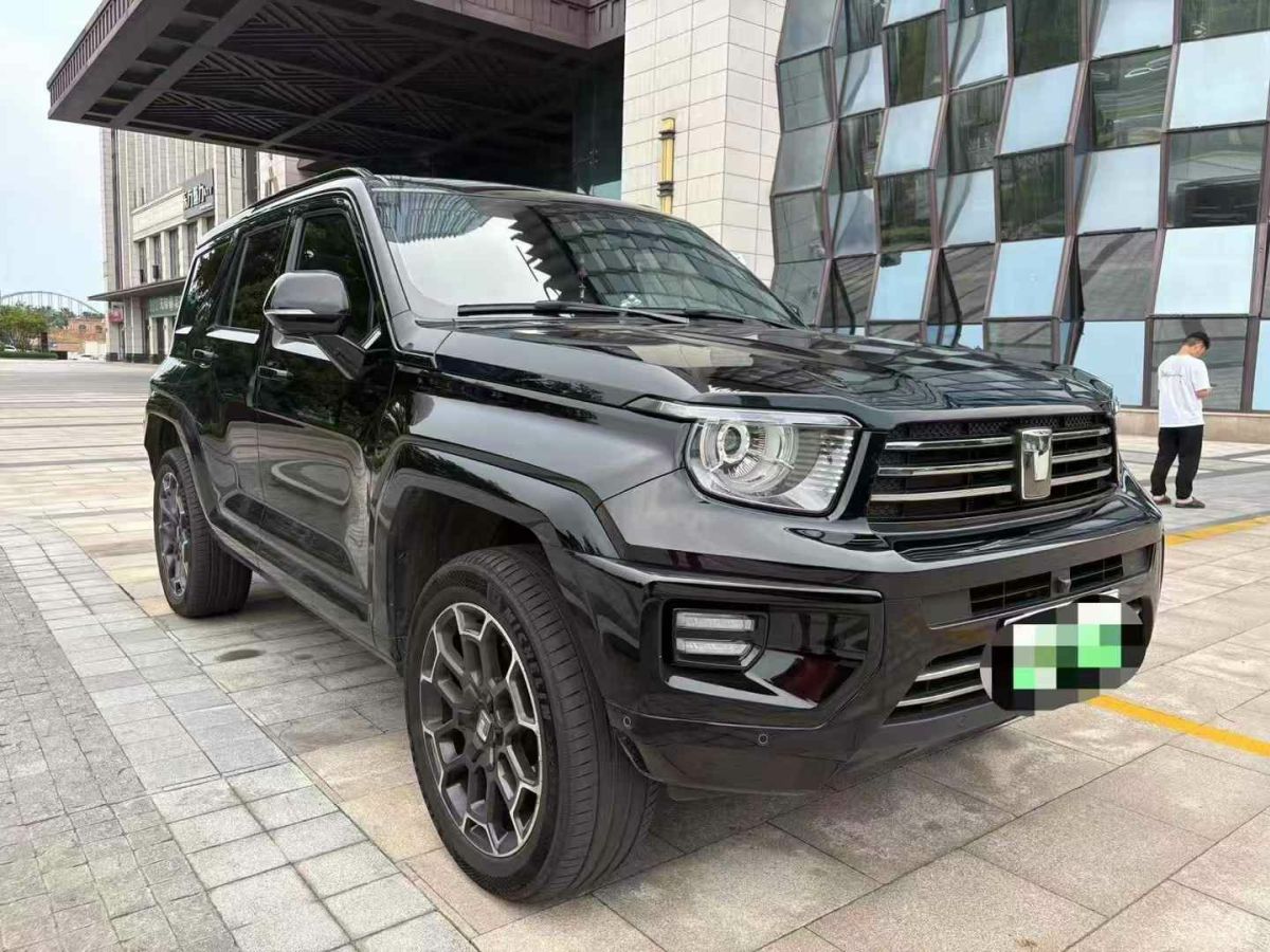 坦克 坦克300  2024款 2.0T 三周年限定版圖片