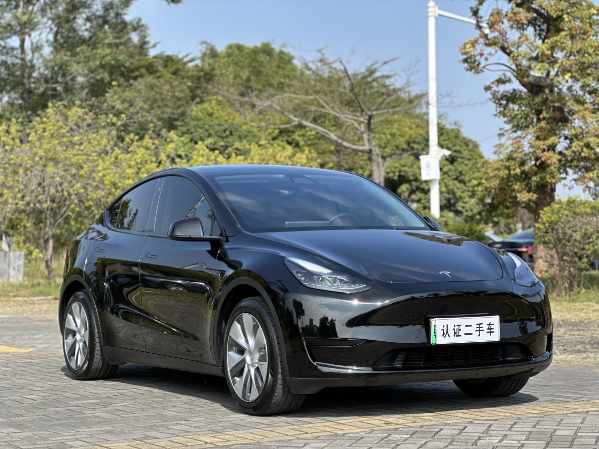 特斯拉 Model 3  2020款 改款 長續(xù)航后輪驅(qū)動版圖片