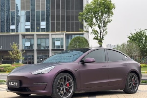 Model 3 特斯拉 Performance高性能全輪驅(qū)動版