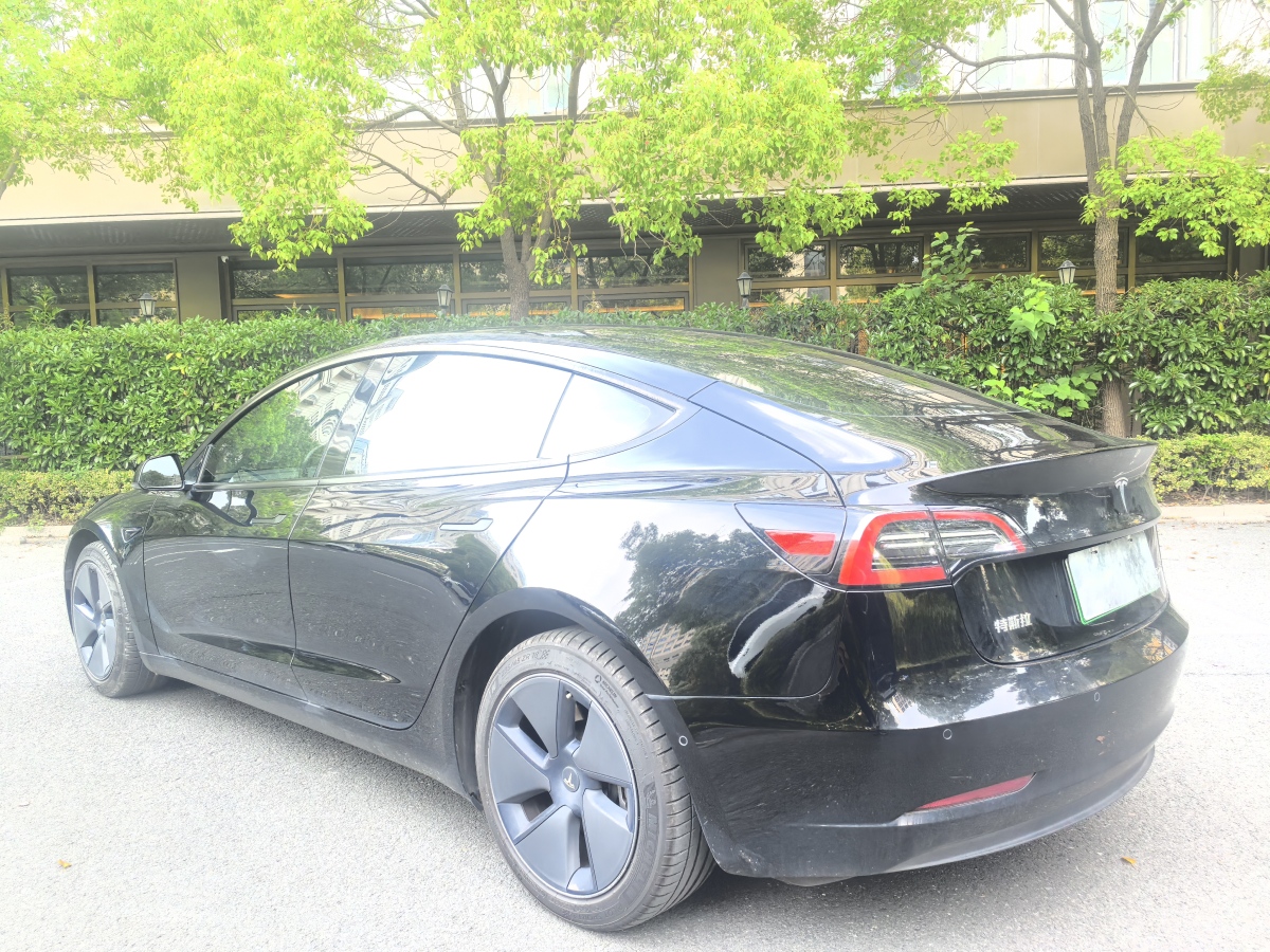 特斯拉 Model 3  2021款 標(biāo)準(zhǔn)續(xù)航后驅(qū)升級版 3D6圖片