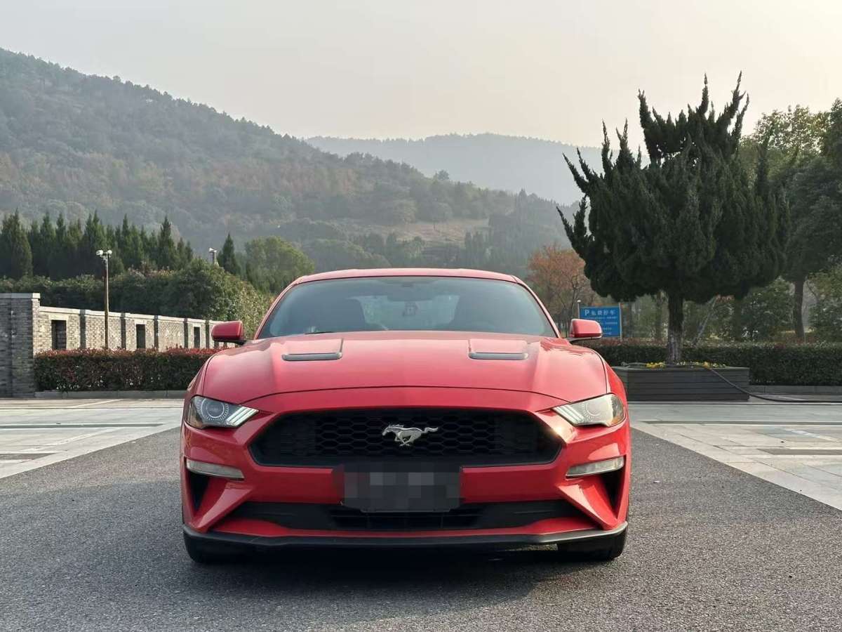 福特 Mustang  2019款 2.3L EcoBoost 性能加強(qiáng)版圖片