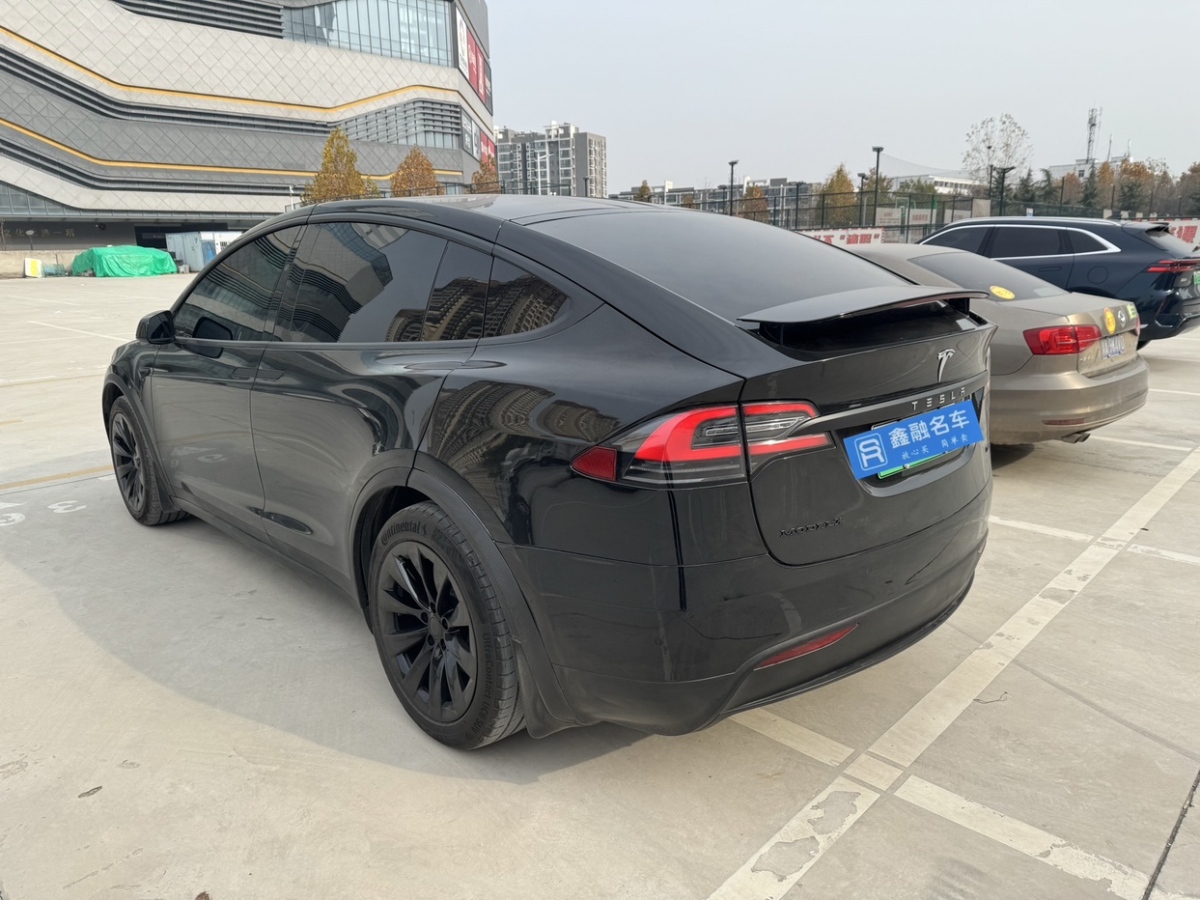 特斯拉 Model X  2017款 Model X 100D 長續(xù)航版圖片