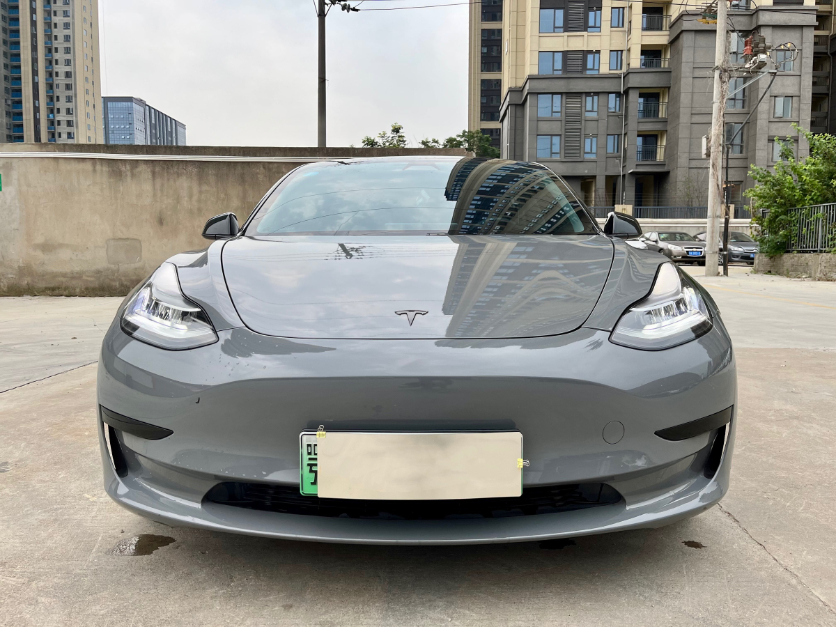 特斯拉 Model 3  2020款 改款 標(biāo)準(zhǔn)續(xù)航后驅(qū)升級(jí)版圖片