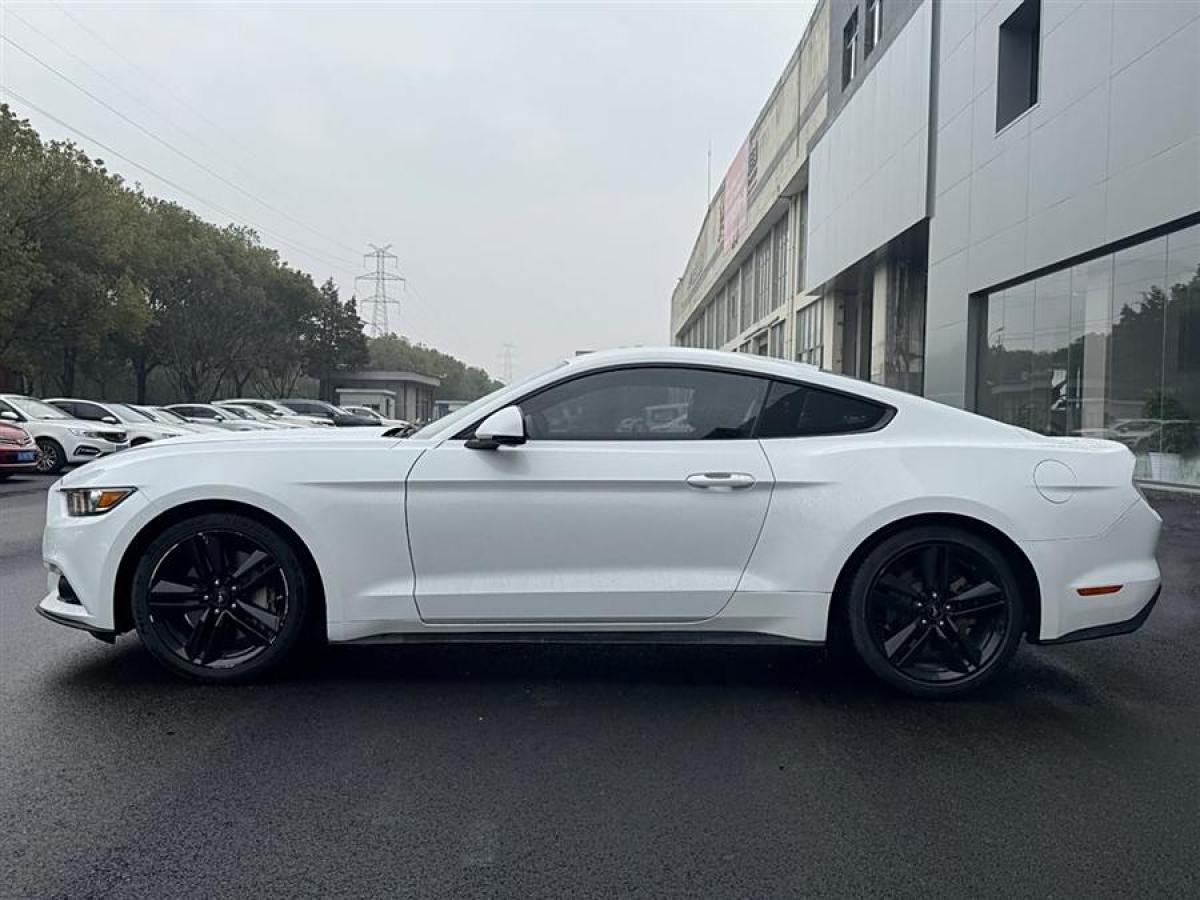 福特 Mustang  2015款 2.3T 50周年紀(jì)念版圖片