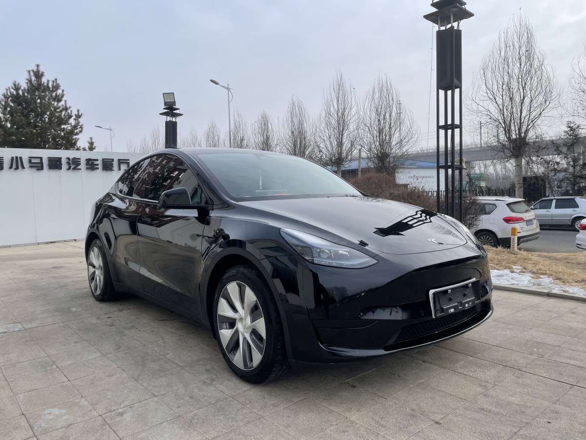 特斯拉 Model 3  2020款 改款 長續(xù)航后輪驅動版圖片