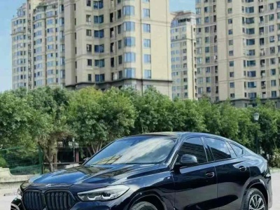 宝马 宝马X6(进口) 改款 xDrive30i M运动套装图片