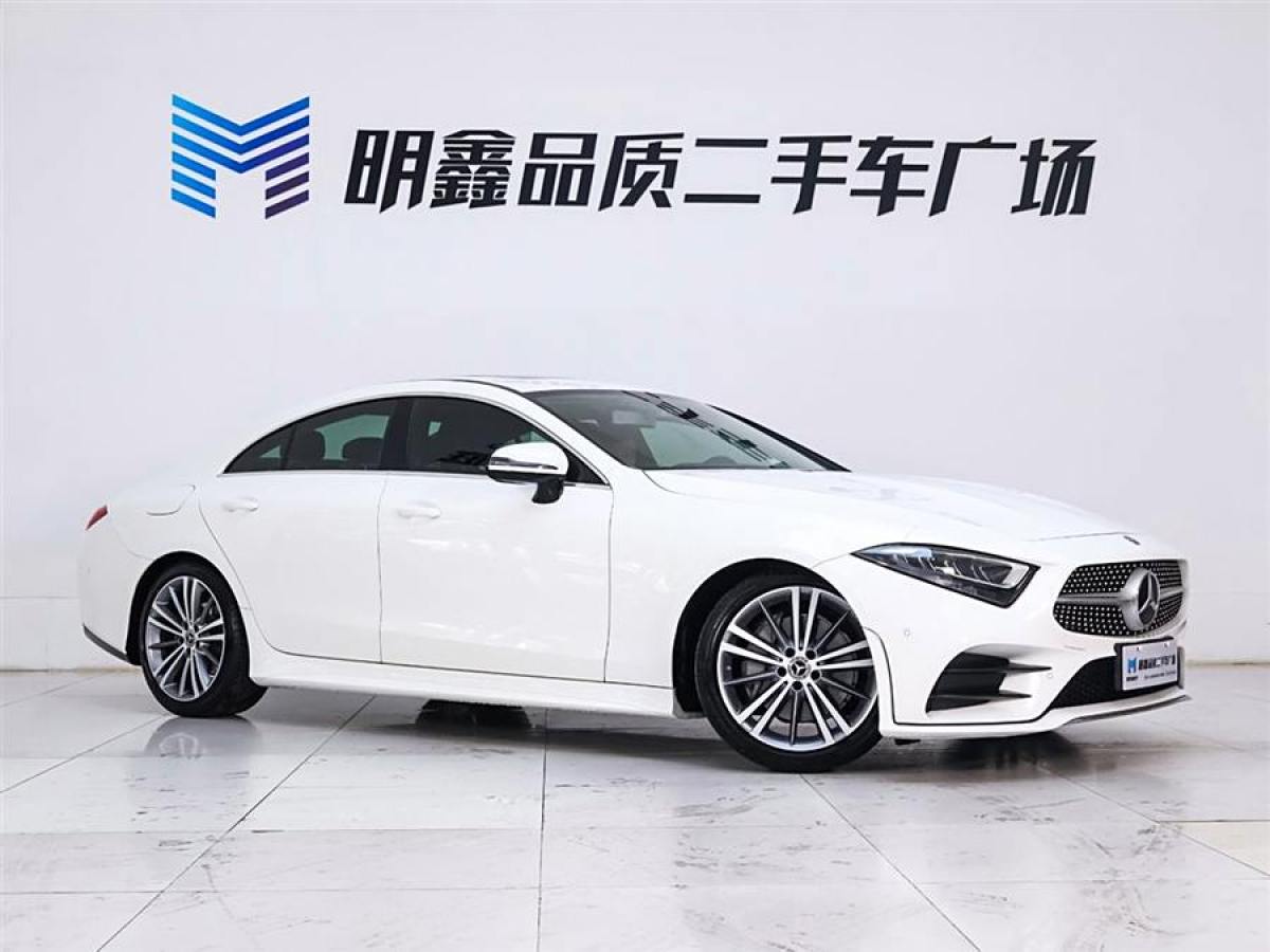 奔馳 奔馳CLS級(jí)  2020款 CLS 300 動(dòng)感型圖片