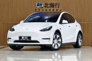 Model Y 特斯拉 標(biāo)準(zhǔn)續(xù)航后驅(qū)版