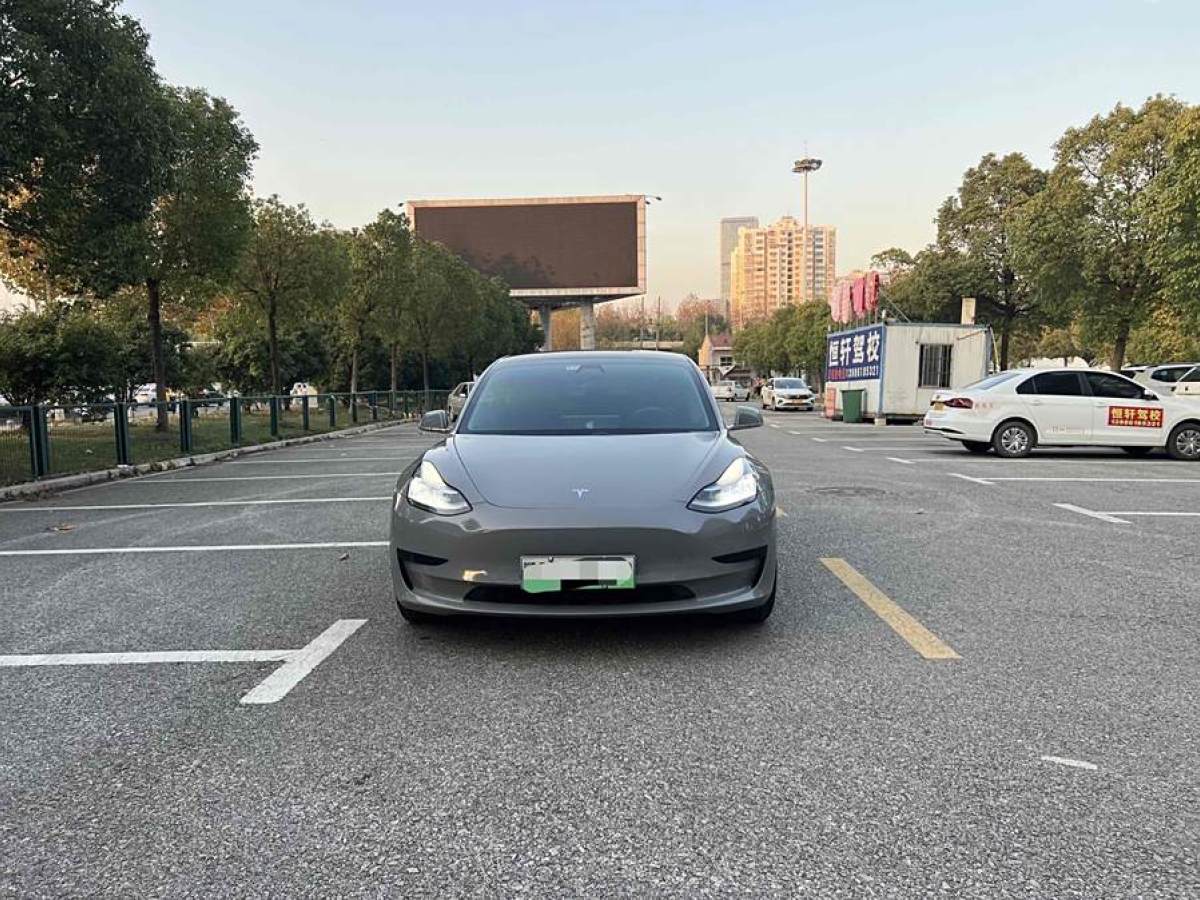 特斯拉 Model 3  2020款 改款 標準續(xù)航后驅(qū)升級版圖片