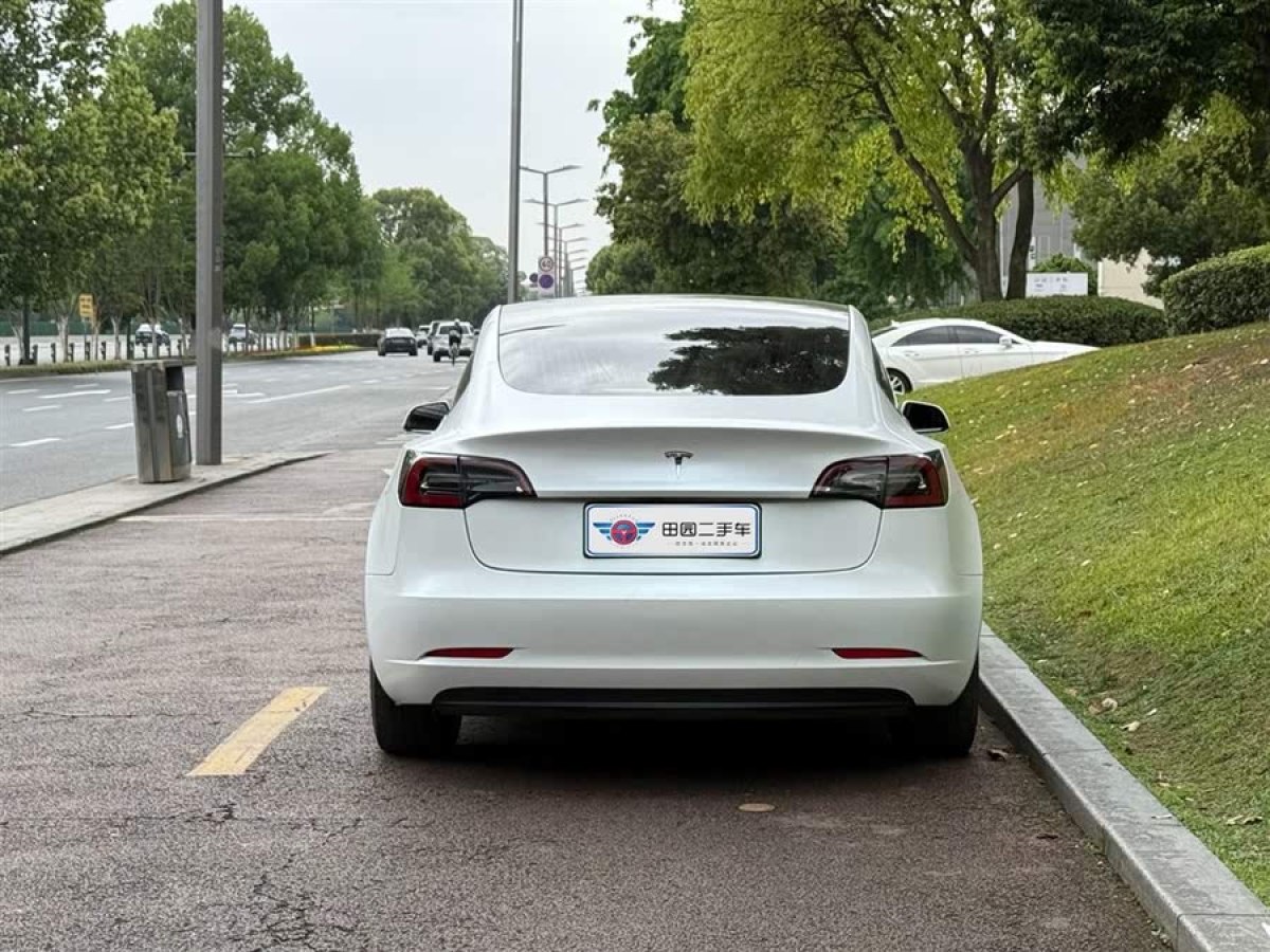 特斯拉 Model 3  2020款 改款 標(biāo)準(zhǔn)續(xù)航后驅(qū)升級(jí)版圖片