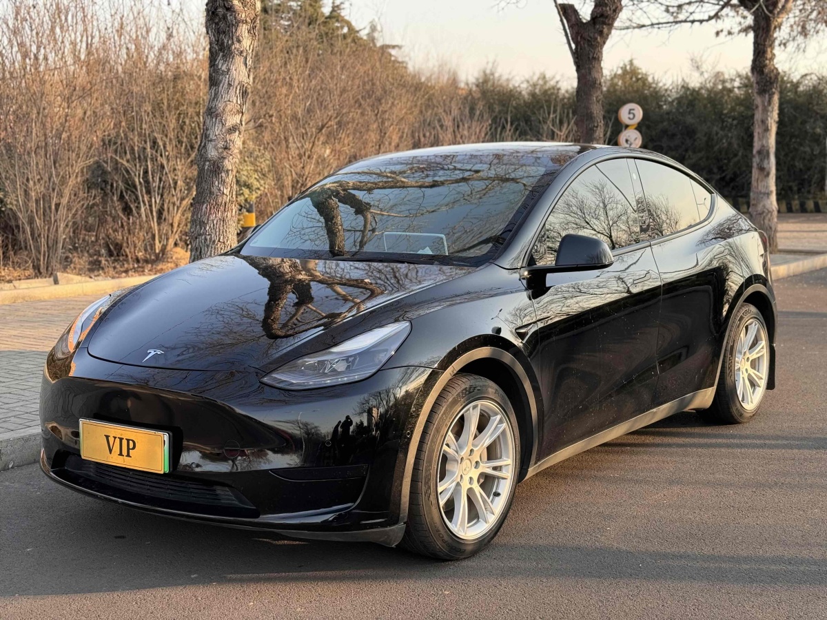 特斯拉 Model 3  2020款 改款 長續(xù)航后輪驅(qū)動版圖片