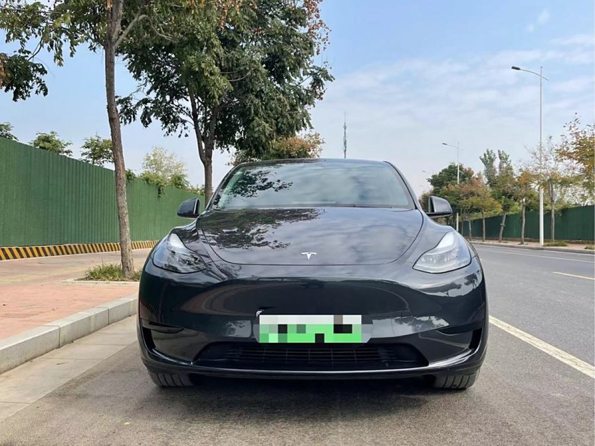 特斯拉 Model Y  2020款 改款 長(zhǎng)續(xù)航后輪驅(qū)動(dòng)版圖片