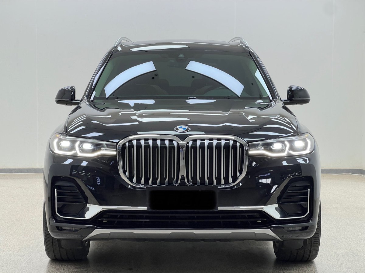 寶馬 寶馬X7  2019款  xDrive40i 領(lǐng)先型豪華套裝圖片