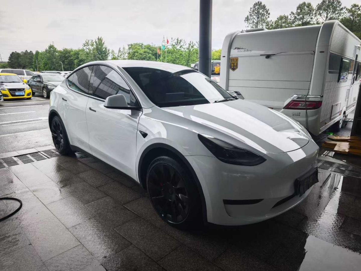 特斯拉 Model Y  2022款 Performance高性能全輪驅(qū)動版圖片