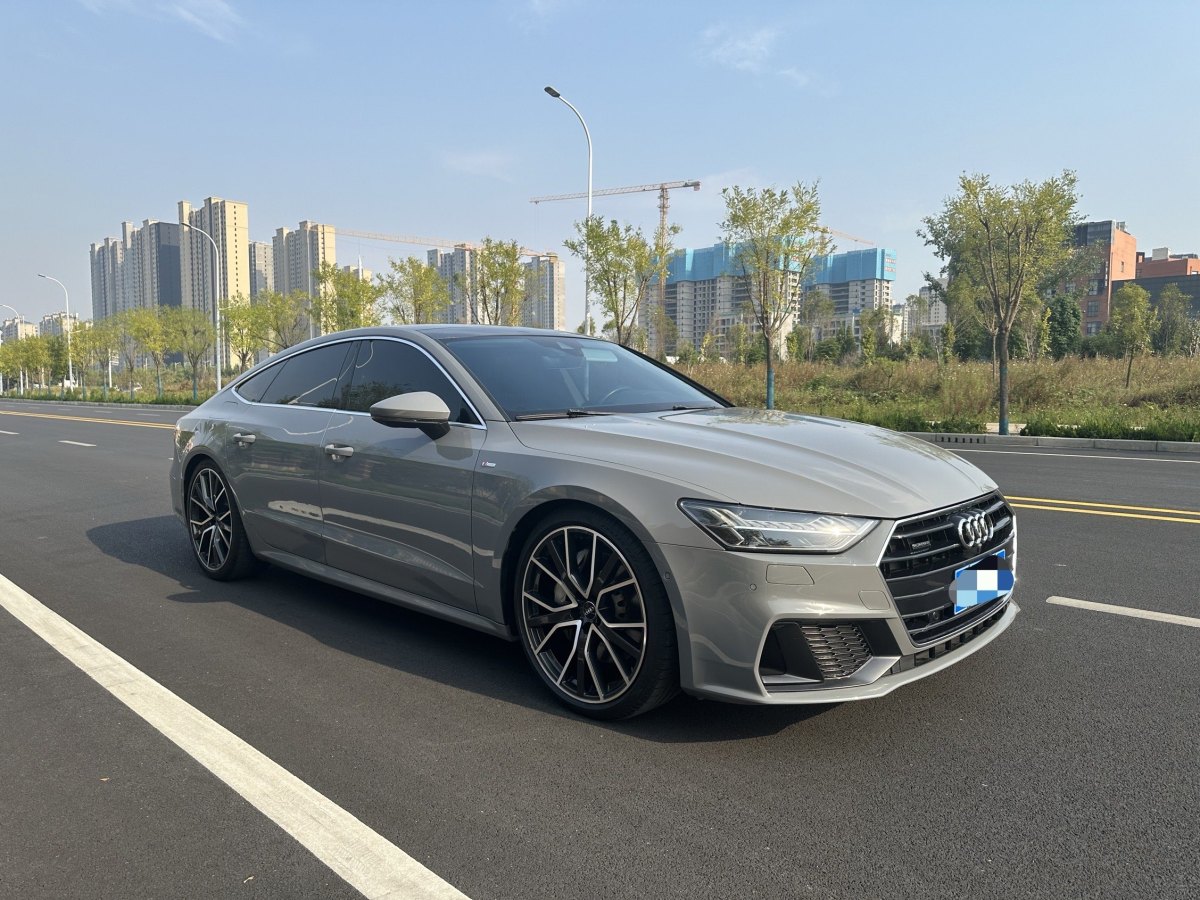 2019年2月奧迪 奧迪A7  2019款 55 TFSI quattro 動(dòng)感型