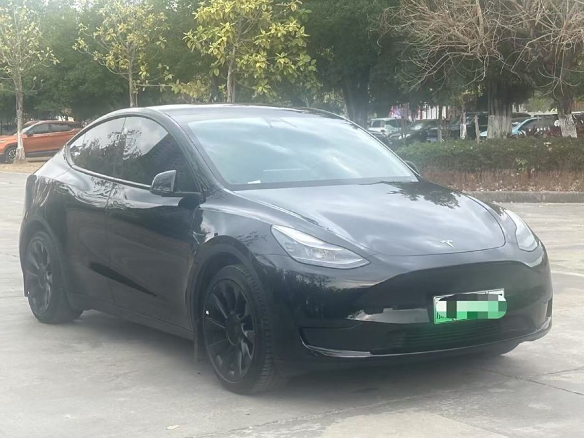 特斯拉 Model 3  2020款 改款 長續(xù)航后輪驅(qū)動版圖片