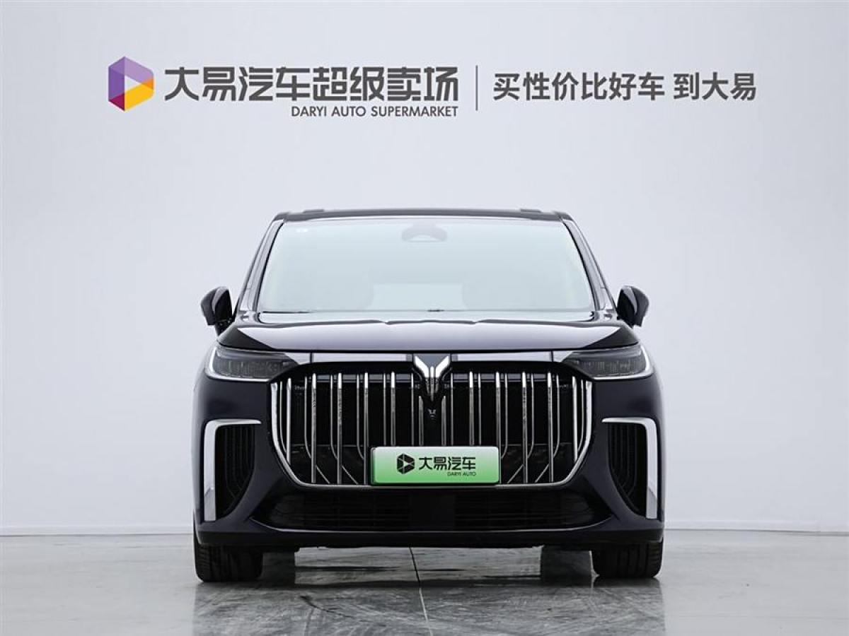 嵐圖 夢想家  2024款 PHEV 超長續(xù)航旗艦版圖片