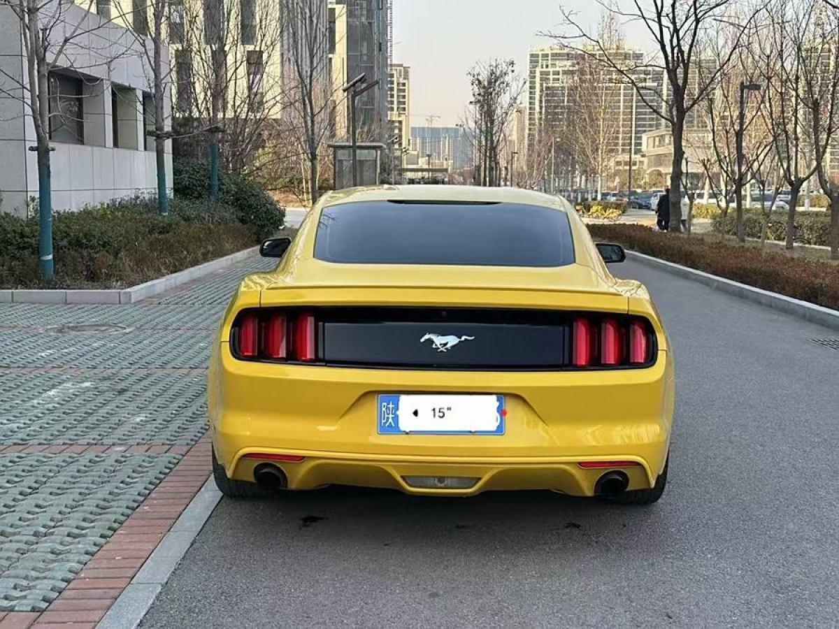 福特 Mustang  2016款 2.3T 性能版圖片