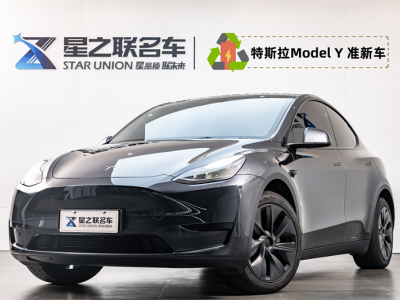 2024年9月  特斯拉Model Y 24款 后輪驅(qū)動(dòng)版 圖片