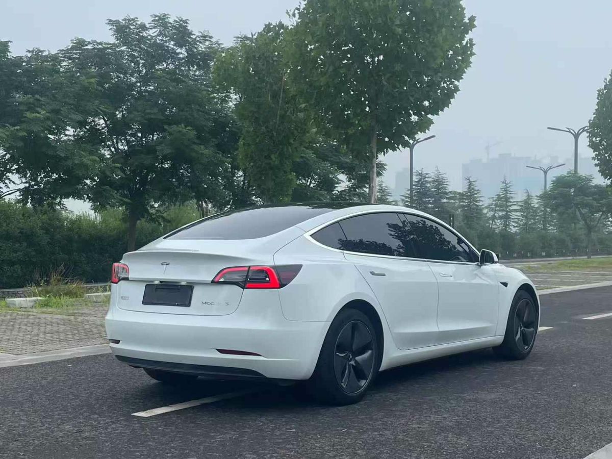 特斯拉 Model 3  2020款 標(biāo)準(zhǔn)續(xù)航后驅(qū)升級(jí)版圖片