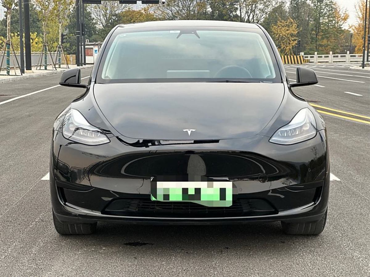 特斯拉 Model 3  2022款 后輪驅(qū)動版圖片