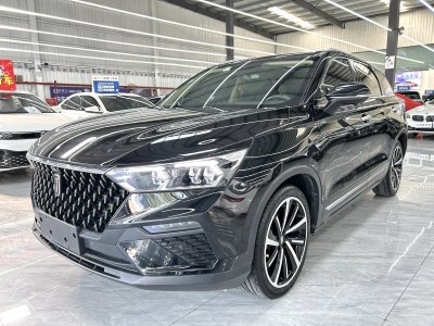 2019年1月 奔腾 T77 230 TID 自动尊贵型米粉版 国V图片