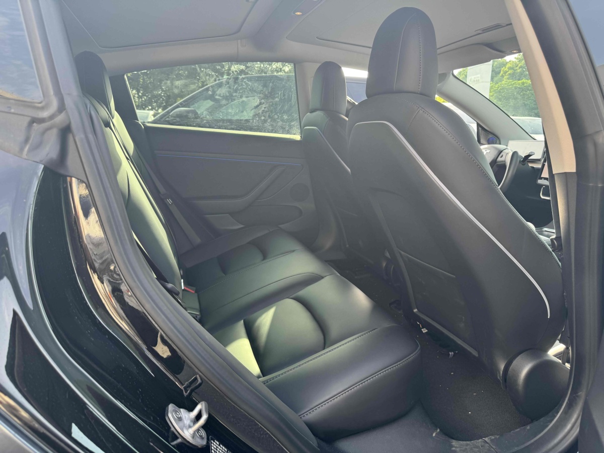特斯拉 Model 3  2022款 Performance高性能全輪驅(qū)動版圖片