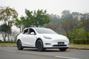 Model Y 特斯拉 改款 长续航后轮驱动版