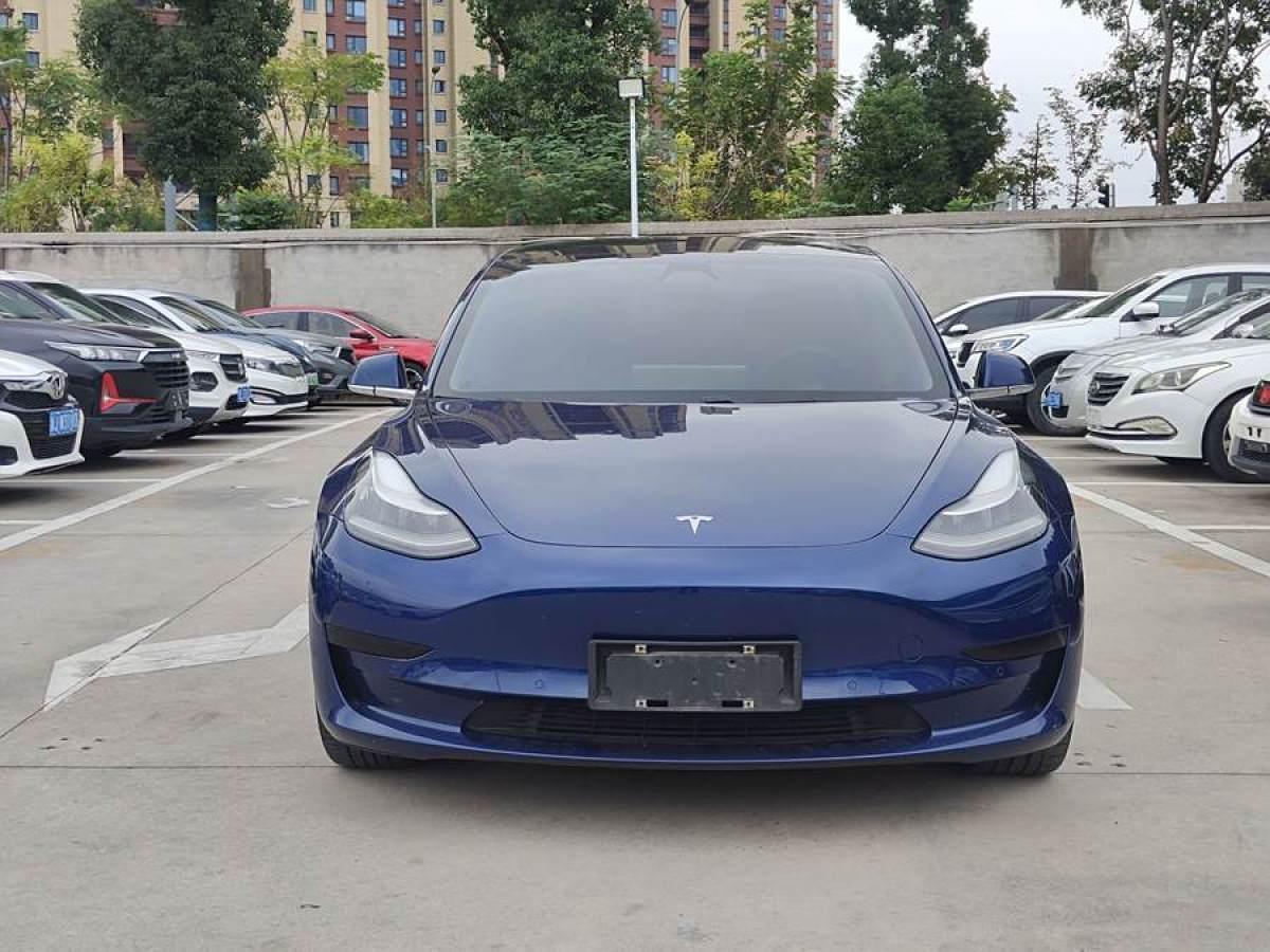 2020年9月特斯拉 Model Y  2020款 改款 標(biāo)準(zhǔn)續(xù)航后驅(qū)升級(jí)版