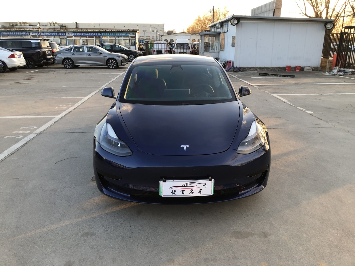 特斯拉 Model 3  2019款 標(biāo)準(zhǔn)續(xù)航后驅(qū)升級(jí)版圖片