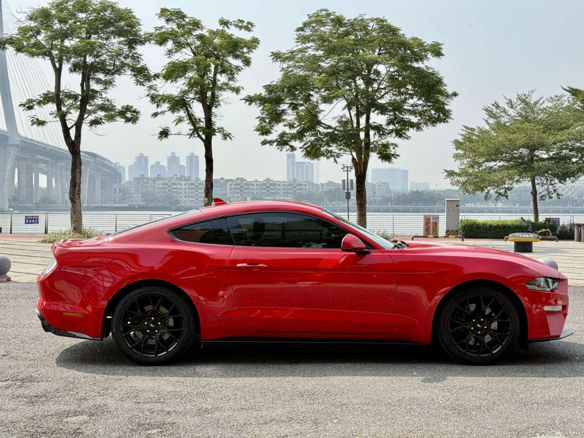 福特 Mustang  2021款 2.3L EcoBoost圖片