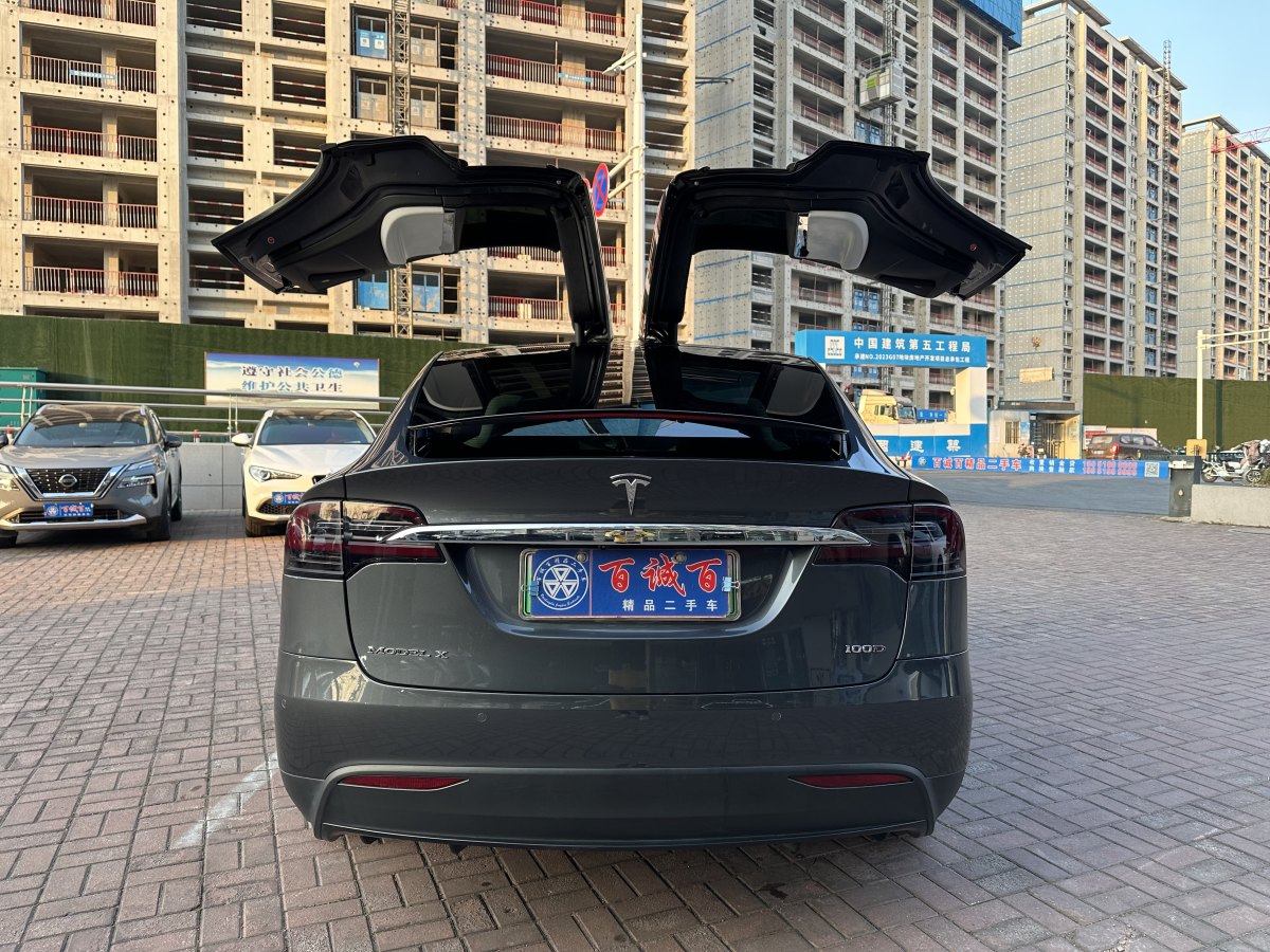 特斯拉 Model X  2017款 Model X 100D 長(zhǎng)續(xù)航版圖片